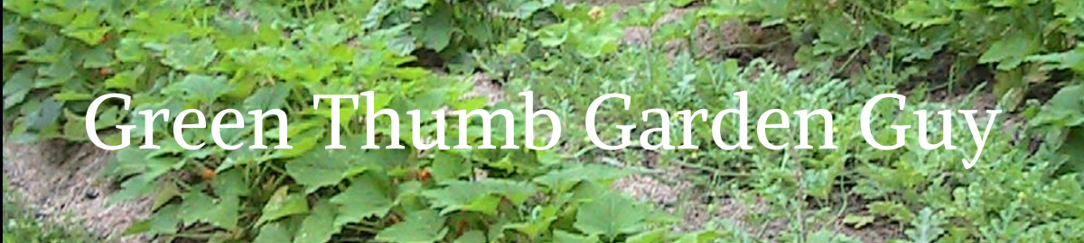 greenthumbgardenguy.com
